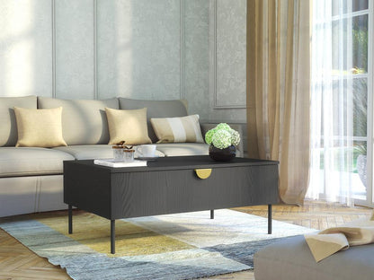 Coffee table with 1 door - Black and gold - Laviecasa ZDBS05517